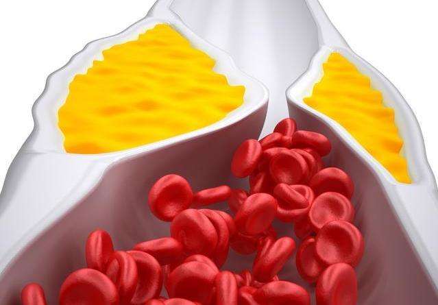 健康一体机 健康一体机