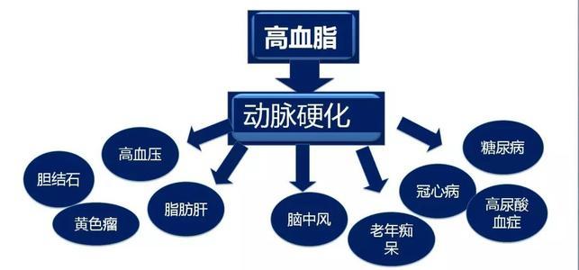 高血脂一般会产生什么样的危害呢?高血脂有什么危害? 高血脂一般会产生什么样的危害呢?高血脂有什么危害?